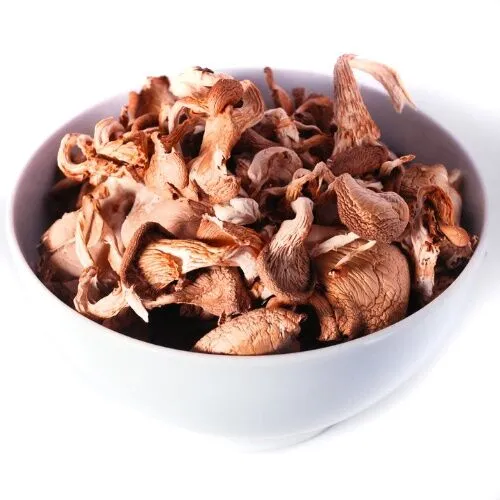 Wholesale Dried Tree Oyster Mushrooms