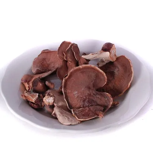 Bulk Dried Reishi Mushrooms