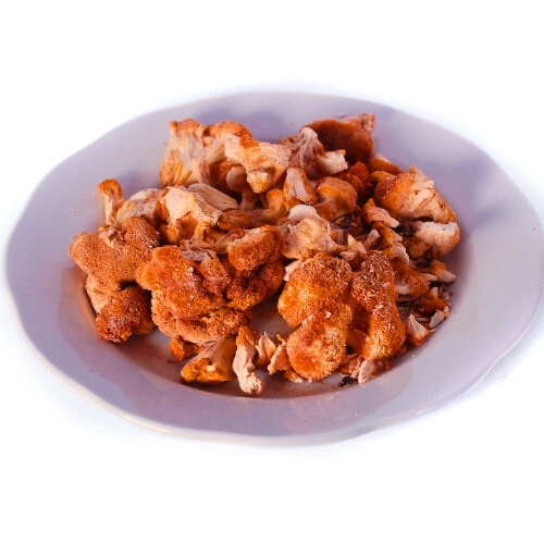 Bulk Dried Lions Mane Mushrooms