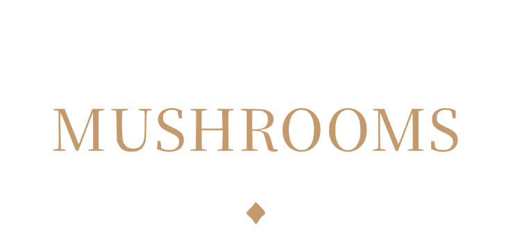Wholesale Mushrooms
