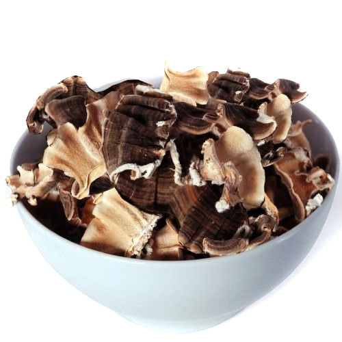 Bulk Dried Turkey Tail Mushrooms
