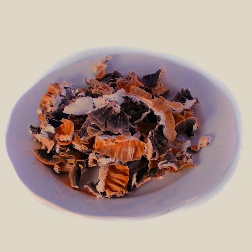 Wholesale Dried Black Pearl Mushrooms