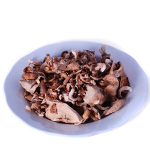 Wholesale Dried Tree Oyster Mushrooms