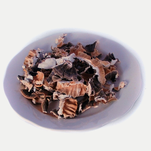Wholesale Dried Turkey Tail Mushrooms
