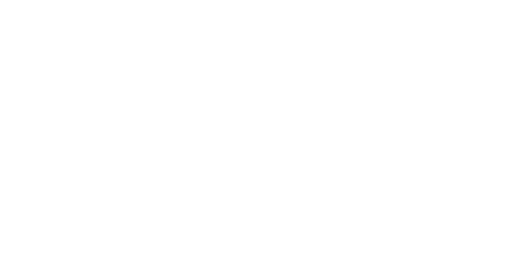 wholesale-mushrooms-transparent-1